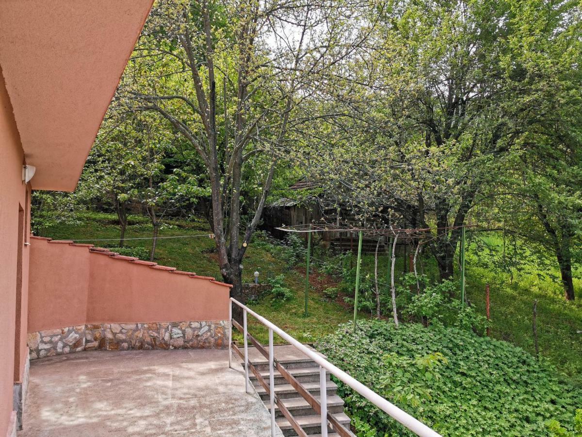 פראבץ Villa Aqua מראה חיצוני תמונה