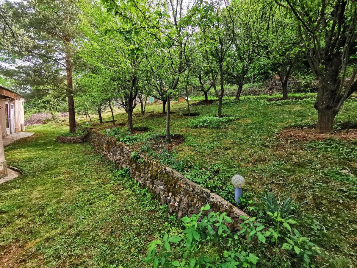 פראבץ Villa Aqua מראה חיצוני תמונה